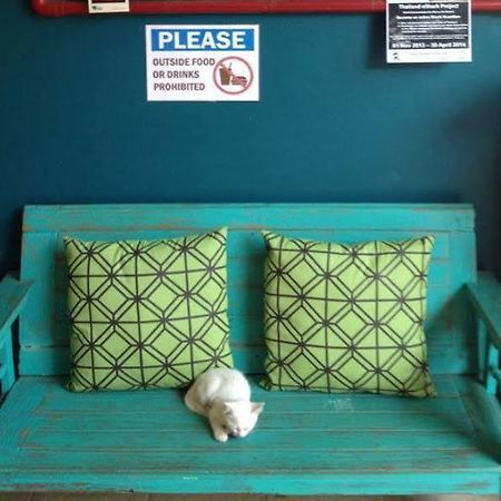 Monkey Dive Hostel Khaolak Καο Λακ Εξωτερικό φωτογραφία